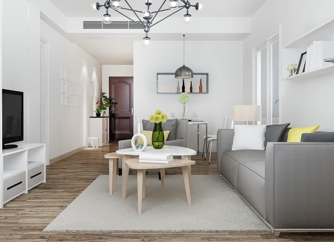 Sala de estar de una vivienda con sofá, mesa de centro, alfombra y televisor