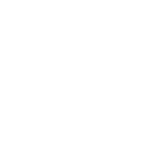 Seguro de Salud